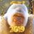 Scott Buffaloe's profile image