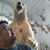 David C. Bashore's profile image
