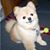 Angelia Langva's profile image