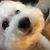 Sandie Granatir Cheek's profile image