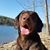 Marc Kester's profile image