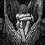 Danelle Talip Chocolatl's profile image