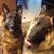 Susan Geake Ramsey's profile image