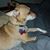 Beth Trent Davidson's profile image