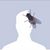 Matt Groft's profile image