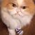 Gabrielle Lawson's profile image