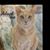 Cyndi Dill's profile image