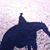 Melissa Davis's profile image