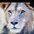 Suzanne Viskoc-Dennis's profile image