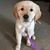 Wendy Alexakos's profile image