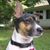 Sherrie Gauthier's profile image