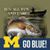 Kevin Balogh's profile image
