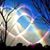 Janise Bailey's profile image