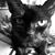 Klodin Luca's profile image