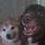 Lin Sibulkin's profile image
