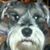 Stacy Van Sickle's profile image