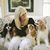 Angie Hubbard Ingram's profile image
