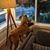 Kevin Blumberg Del Prado's profile image