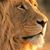 Jim Irwin's profile image