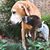 Stephanie Boatright Oliver's profile image