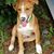 Maryann Orlowski's profile image