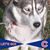 Joan House's profile image