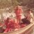 Mary Monroe's profile image