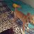 Dayna Wright's profile image