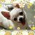Patricia Gallego's profile image