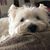 Judy Barta Snook's profile image