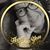 Suzie Carey Head's profile image