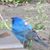 Martha Omilian's profile image