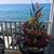 Cindy Raisor Mears's profile image