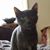 Gail Doyle's profile image