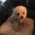 Stephanie Josephine Usrey's profile image