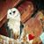 Stacey Bishop's profile image