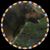 Jody Black Moon's profile image