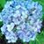 Wendy Douglas's profile image