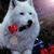 Debbie Ann Miller's profile image