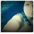 Maria Katehis's profile image