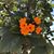 Almanza Jennifer's profile image