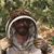 Ben Lockett's profile image