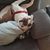 Ray Carswell's profile image