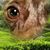 Jane Pennington's profile image