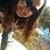 Jen Coon's profile image