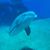 Susan Whicker's profile image
