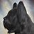 Theresa Fursa's profile image
