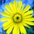 Gail Hemby's profile image