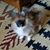 Connie Wyrick's profile image