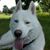 Haydn Van Sneeuwt's profile image